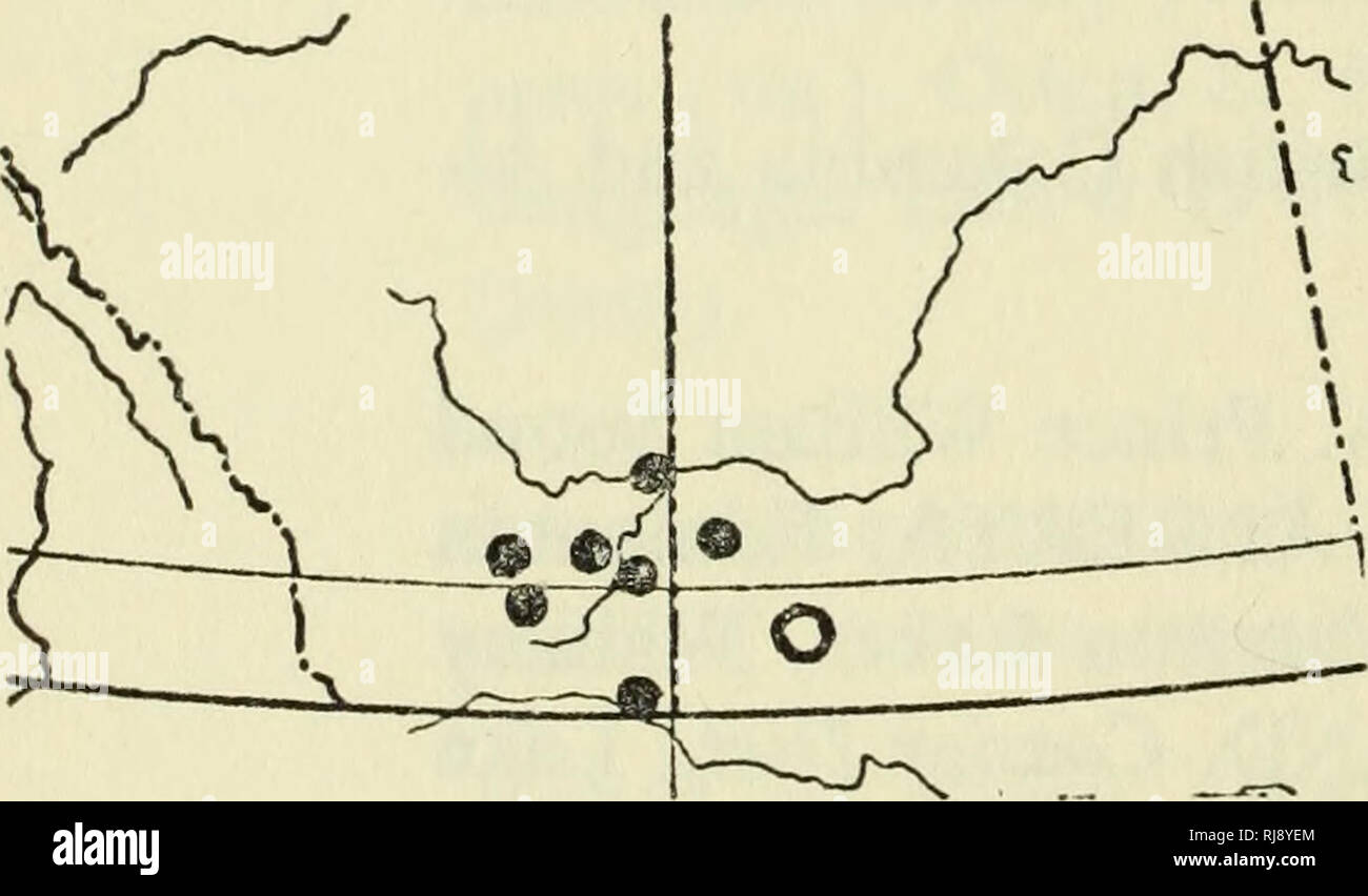 . Check list of the amphibians and reptiles of Canada and Alaska. Amphibians; Amphibians; Reptiles; Reptiles. Map 22. Bufo boreas boreas (Storer, 1925, p. 169). Coast Dist., Range J, Bella Coola (Cowan, 1937, p. K19). Coast Dist., Range 4, Ootsa Lake (Cowan, 1937, p. K19). Koote- nay Dist., Cranbrook (Cowan, 1937, p. K19). New Westminster Dist., Van- couver (Slevin, 1928, p. 92). Peace River Dist., Hudson Hope (rom). Tupper Creek (pmbc). Similkameen Dist., Osoyoos (pmbc). Queen Char- lotte Islands Z)/5/.,Masset (Storer, 1925, p. 169). VANCOUVER ISLAND. Alberni Dist., Albemi Valley (Cowan, 1937 Stock Photo