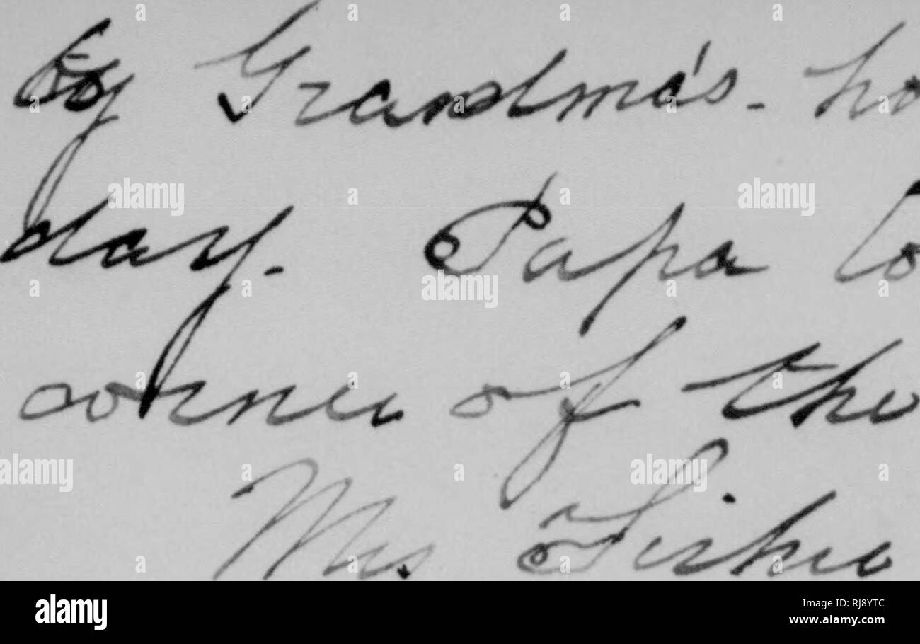 . C. Hart Merriam papers : including correspondence, papers relating to career with the United States Biological Survey, 1798-1972 (bulk 1871-1942). United States. Division of Ornithology and Mammalogy; United States. Division of Biological Survey; United States. Biological Survey; United States. Bureau of Biological Survey; Geological and Geographical Survey of the Territories (U. S. ); Harriman Alaska Expedition (1899); Bering Sea controversy; Bears; Biogeography; Natural history; Ornithology; Botany; Life zones; Wildlife conservation. {^,,t.^„ ^,#^&gt;t^ ^- -^ 9kc -2:^ •v-r ^-^ /^Z^tSk^-f  Stock Photo