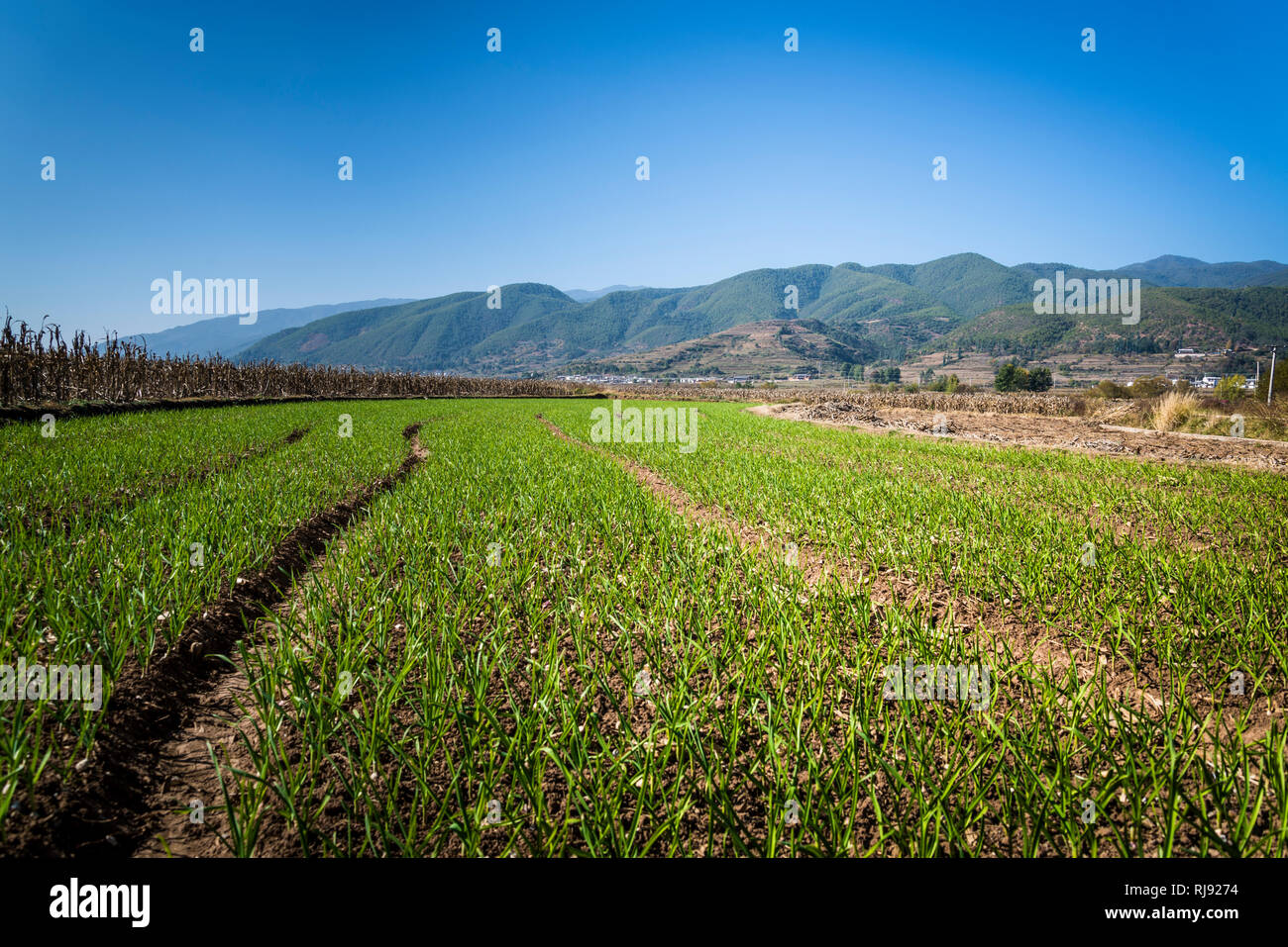 Rural china landscape hi-res stock photography and images - Alamy