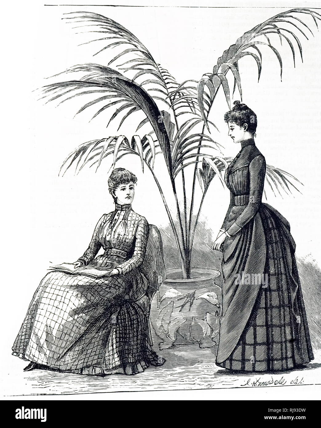An engraving depicting a woman reading under a potted palm. Dated 19th century Stock Photo