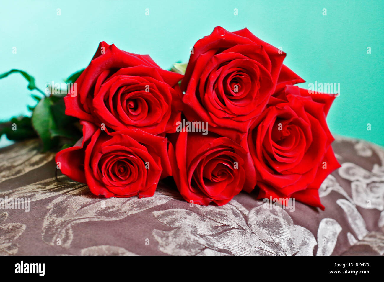 Beautiful Bunch of Dark Red Roses on Pillow. Close Up View. Happy ...