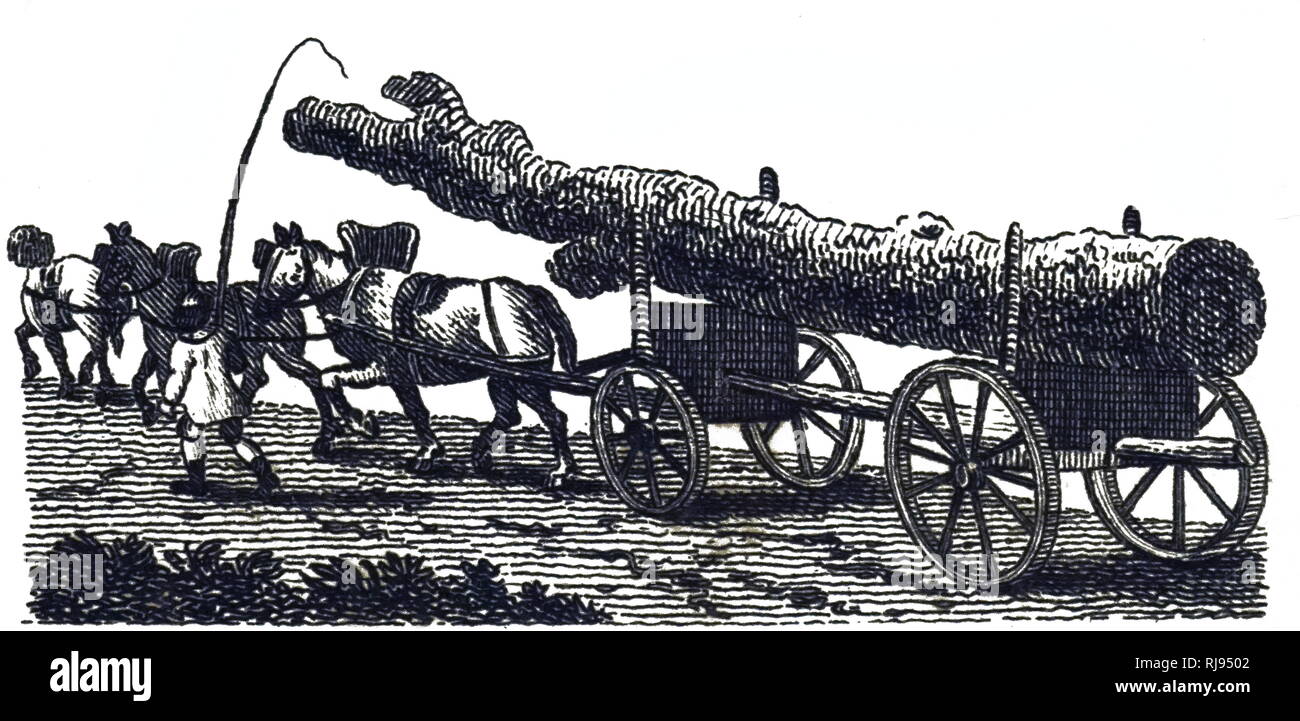 An engraving depicting the transportation of a tree-trunk to the sawmills on a timber carriage. Dated 19th century Stock Photo