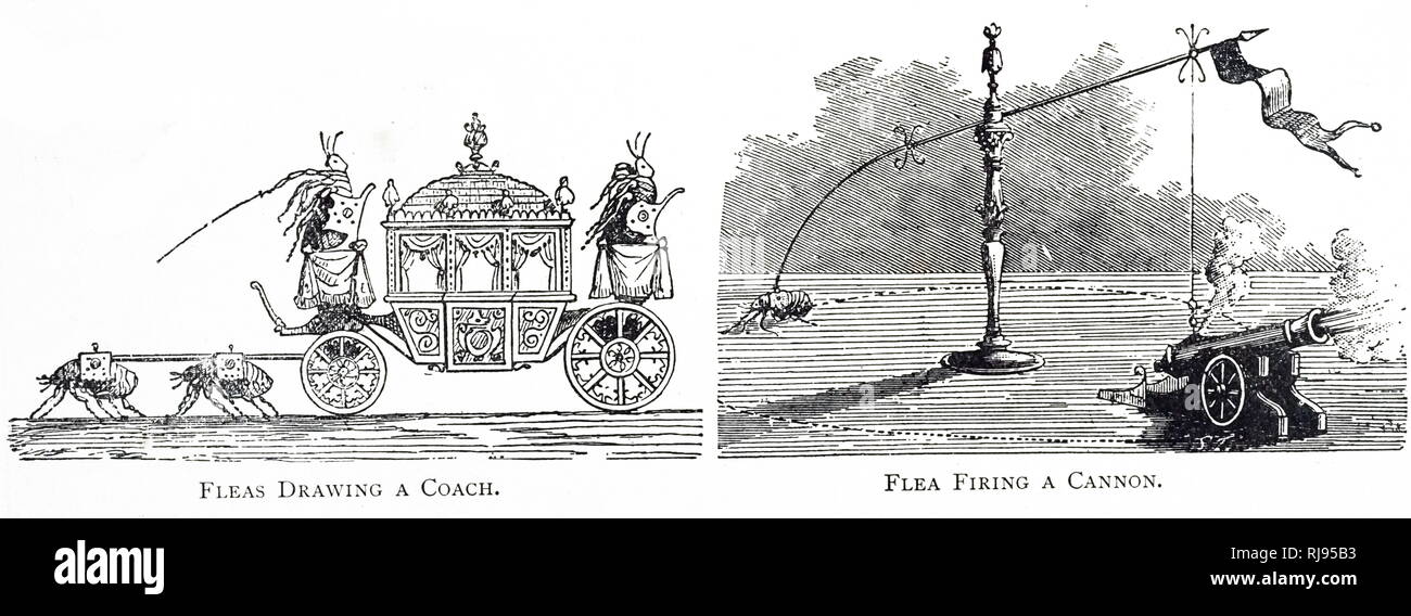 A cartoon depicting fleas performing human tasks - drawing a coach and the firing of a miniature cannon. Dated 19th century Stock Photo