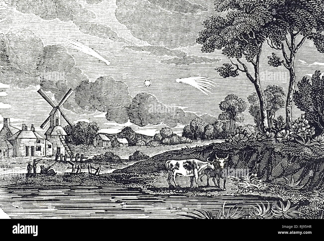 An engraving depicting various types of comets in the night sky dated