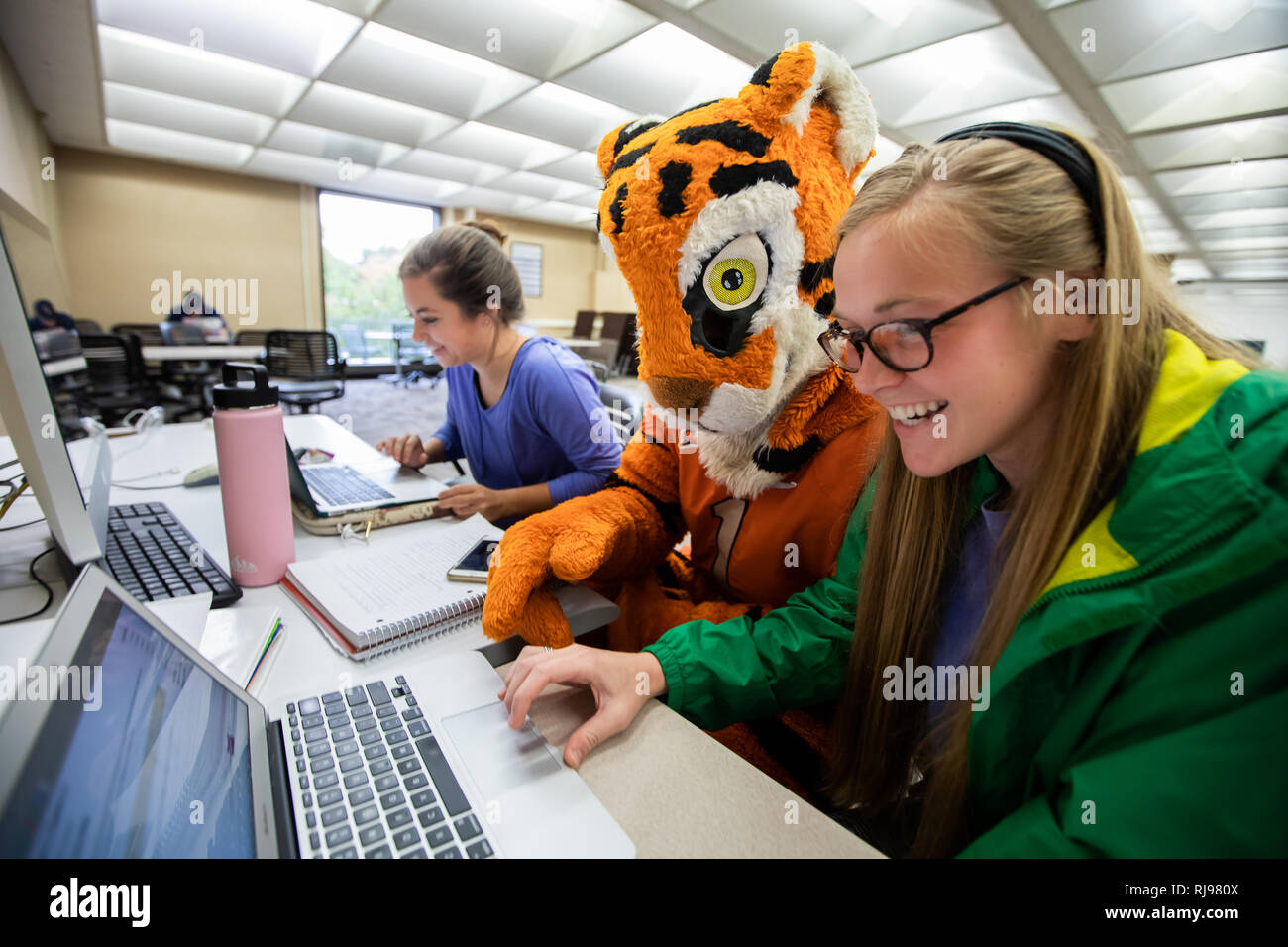 Clemson University Mascot The Tiger And Cubby During