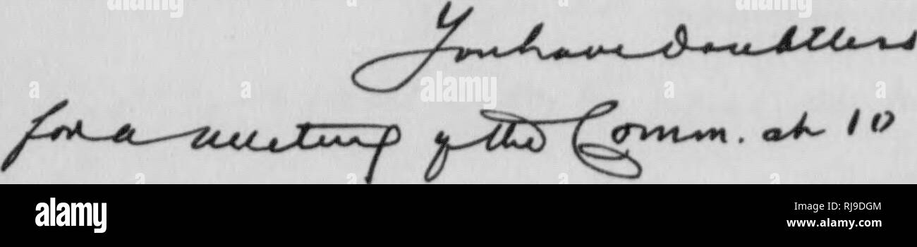 . C. Hart Merriam papers : including correspondence, papers relating to career with the United States Biological Survey, 1798-1972 (bulk 1871-1942). United States. Division of Ornithology and Mammalogy; United States. Division of Biological Survey; United States. Biological Survey; United States. Bureau of Biological Survey; Geological and Geographical Survey of the Territories (U. S. ); Harriman Alaska Expedition (1899); Bering Sea controversy; Bears; Biogeography; Natural history; Ornithology; Botany; Life zones; Wildlife conservation. fpl N. ^, if^/^ ^ 4^.SJl r'^^f^/hc^^rrvsua^. Please note Stock Photo