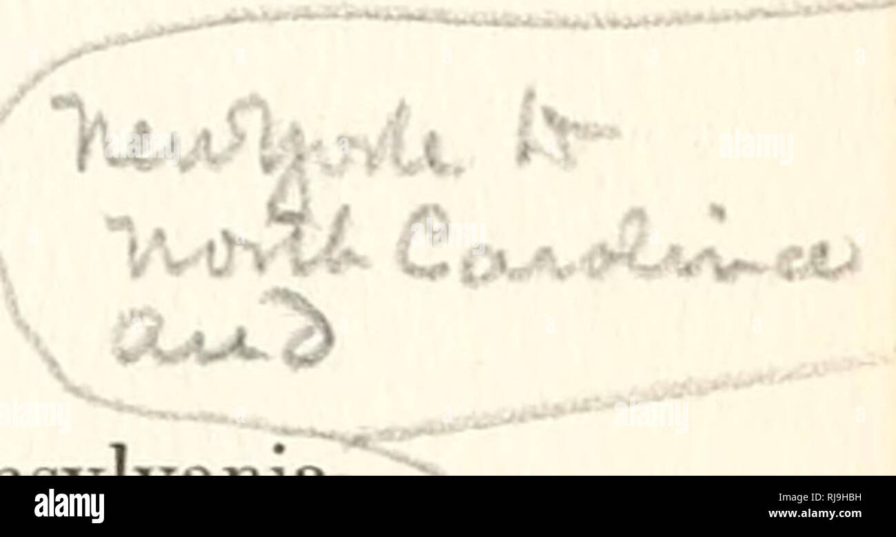 . A check list of North American amphibians and reptiles. Amphibians