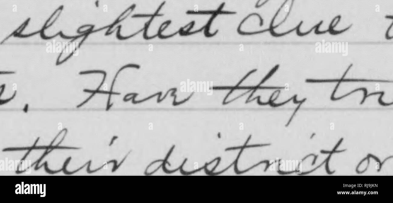 . C. Hart Merriam papers : including correspondence, papers relating to career with the United States Biological Survey, 1798-1972 (bulk 1871-1942). United States. Division of Ornithology and Mammalogy; United States. Division of Biological Survey; United States. Biological Survey; United States. Bureau of Biological Survey; Geological and Geographical Survey of the Territories (U. S. ); Harriman Alaska Expedition (1899); Bering Sea controversy; Bears; Biogeography; Natural history; Ornithology; Botany; Life zones; Wildlife conservation. 7^^^ c!lw4:Pv^ } fi^A^^t^^^ i.yiyX^ OLy^^^-^ 1 1, '^Vti^ Stock Photo