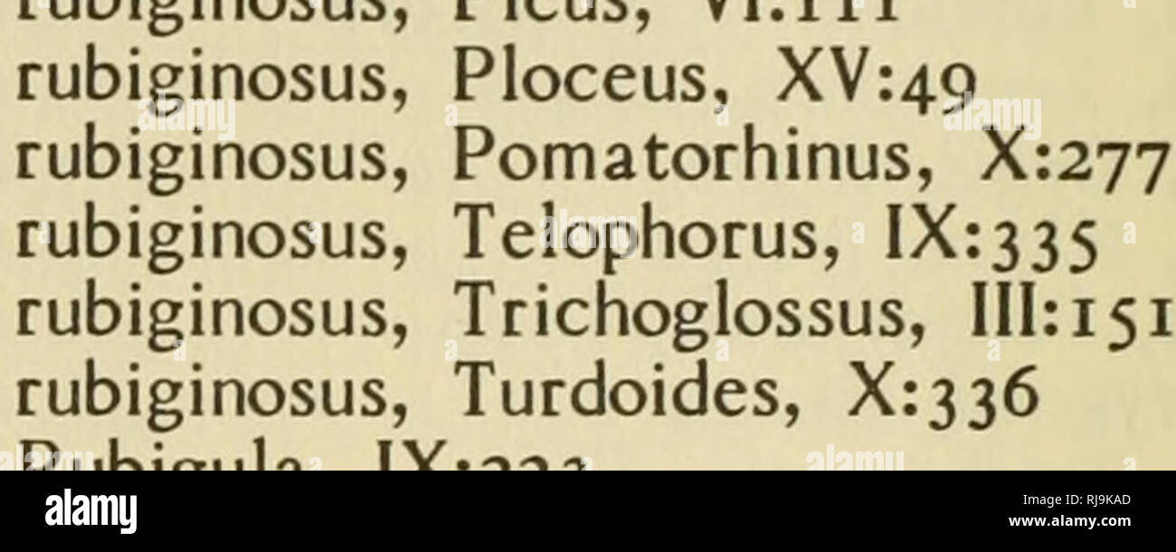 . Check-list of birds of the world. Birds. 434 rubida, Geotrygon, III:i3i rubida, Oreopeleia, III:i3i rubida, Oxyura, 1:502 rubida, Prunella, X:i2 rubidiceps, Chloephaga, 1:448 rubidior, Erythrina, XIV:276 rubidior, Euchlornis, Vni:290 rubidior, Mirafra, IX:i8 rubidior, Pipreola, VIII:290 rubidipectus, Chrysoptilus, VIrioS rubidiventris, Parus, XlhSg rubidus, Accentor, X:i2 rubidus, Anas, 1:502 rubidus, Carpodacus, XIV:27i rubidus, Charadrius, 11:253 rubidus, Oxyechus, 11:252 rubiensis, Carpophaga, 111:52 rubiensis, Domicella, 111:154 rubiensis, Ducula, 111:52 rubiensis, Lorius, III:i54 rubien Stock Photo