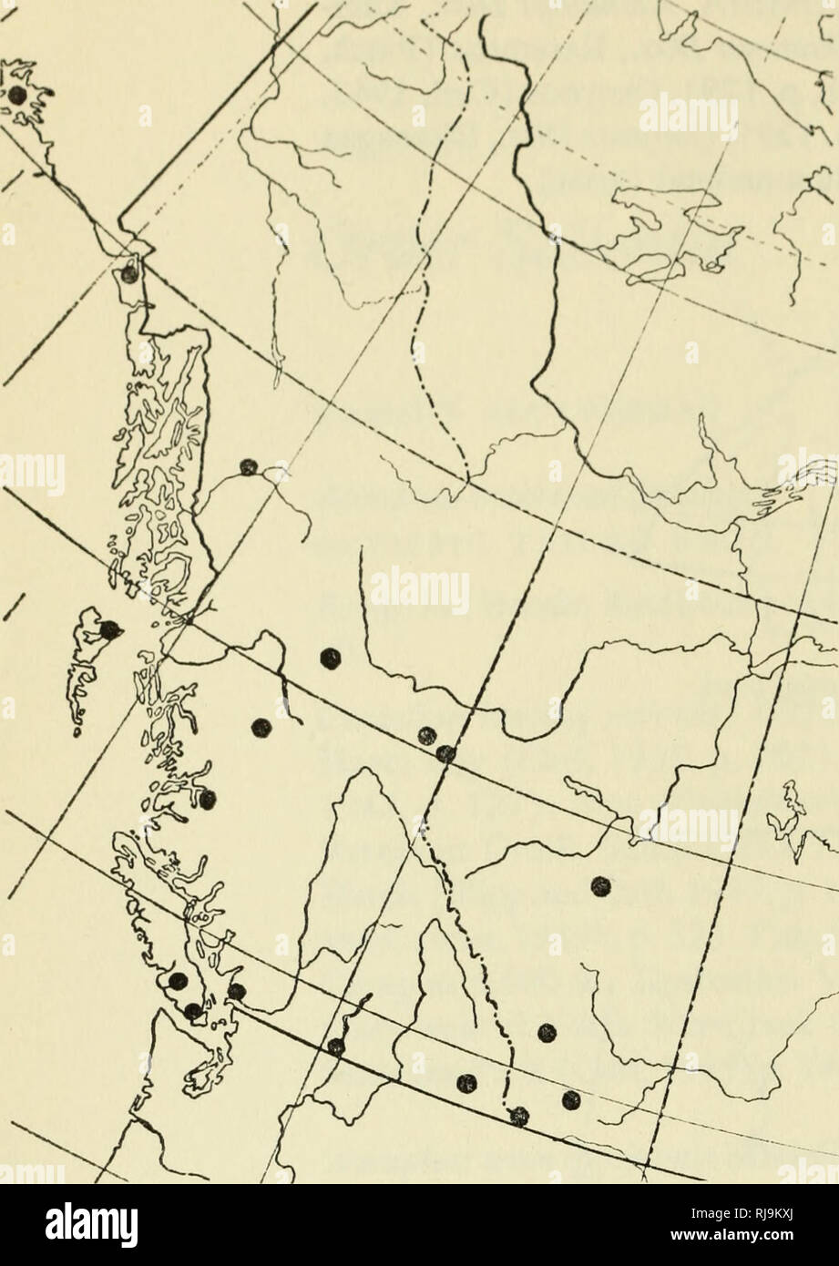 . Check list of the amphibians and reptiles of Canada and Alaska. Amphibians; Amphibians; Reptiles; Reptiles. Map 22. Bufo boreas boreas (Storer, 1925, p. 169). Coast Dist., Range J, Bella Coola (Cowan, 1937, p. K19). Coast Dist., Range 4, Ootsa Lake (Cowan, 1937, p. K19). Koote- nay Dist., Cranbrook (Cowan, 1937, p. K19). New Westminster Dist., Van- couver (Slevin, 1928, p. 92). Peace River Dist., Hudson Hope (rom). Tupper Creek (pmbc). Similkameen Dist., Osoyoos (pmbc). Queen Char- lotte Islands Z)/5/.,Masset (Storer, 1925, p. 169). VANCOUVER ISLAND. Alberni Dist., Albemi Valley (Cowan, 1937 Stock Photo