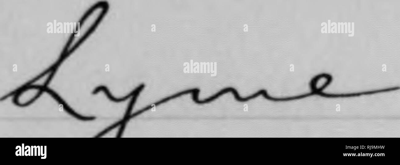 Iai Black And White Stock Photos Images Alamy Iai Black And White Stock Photos Images Alamy