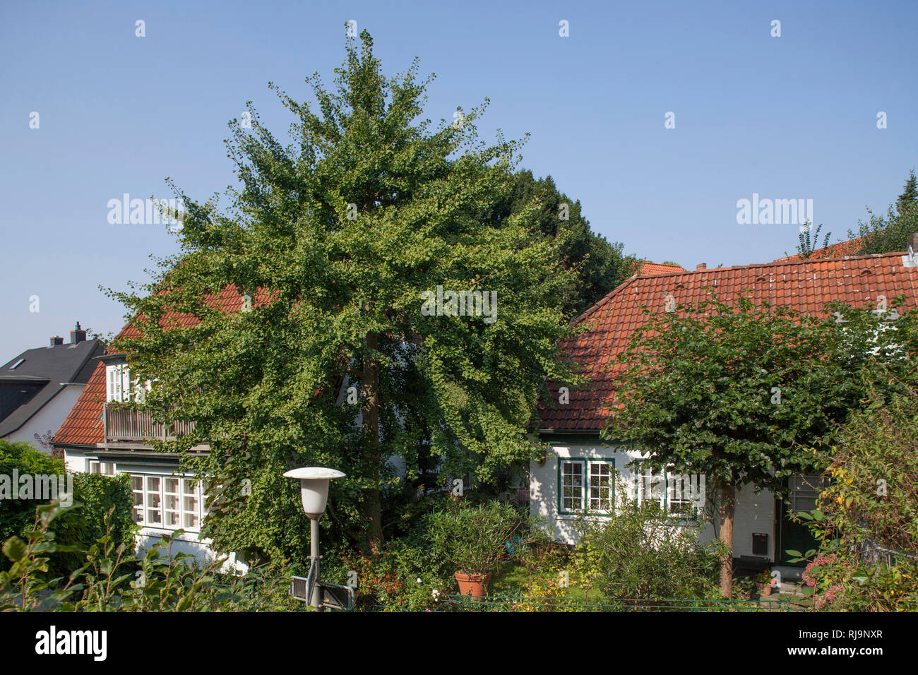 Villa, Blankenese, Hamburg, Deutschland Stock Photo