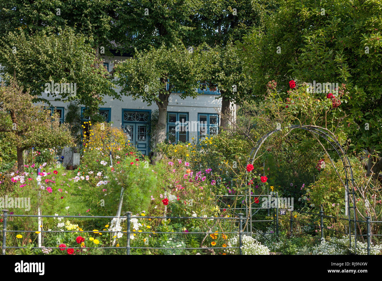 Bauerngarten mit blühenden Blumen, Blankenese, Hamburg, Deutschland