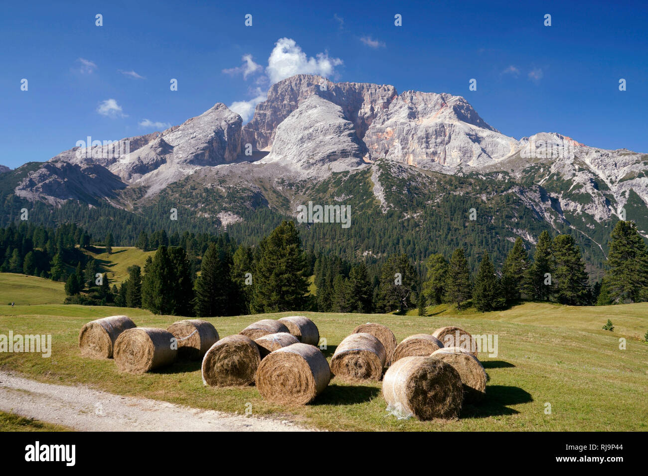 Europa, Italien, Südtirol, Pragser Dolomiten, Plätzwiese, Hohe Gaisl, 3146m, Heu-Ballen Stock Photo