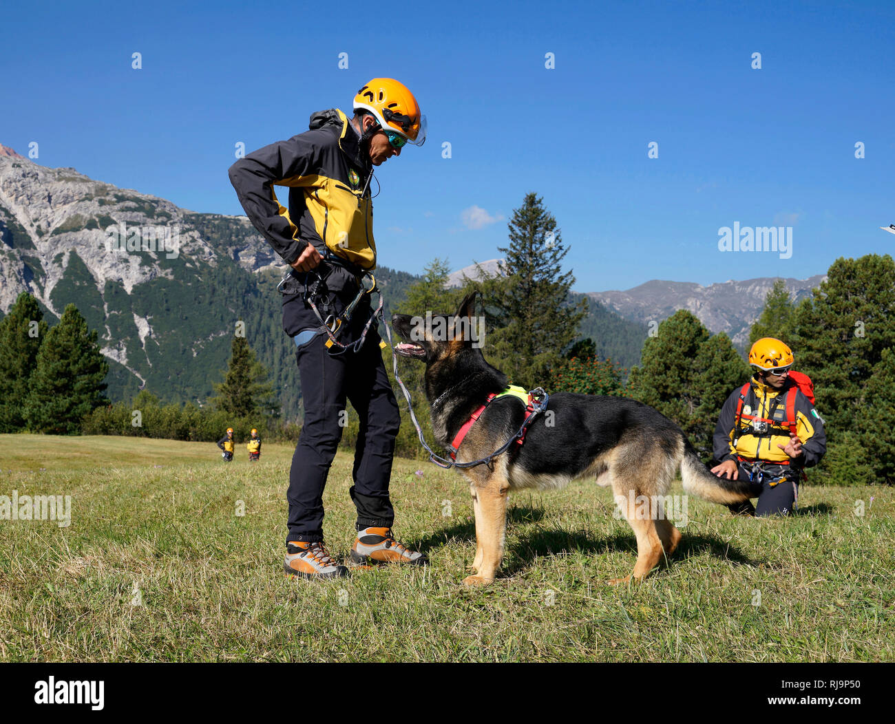 Europa, Italien, Südtirol, Pragser Dolomiten, Plätzwiese, Guardia di Finanza, Übungseinsatz, Diensthund, Hundeführer Stock Photo