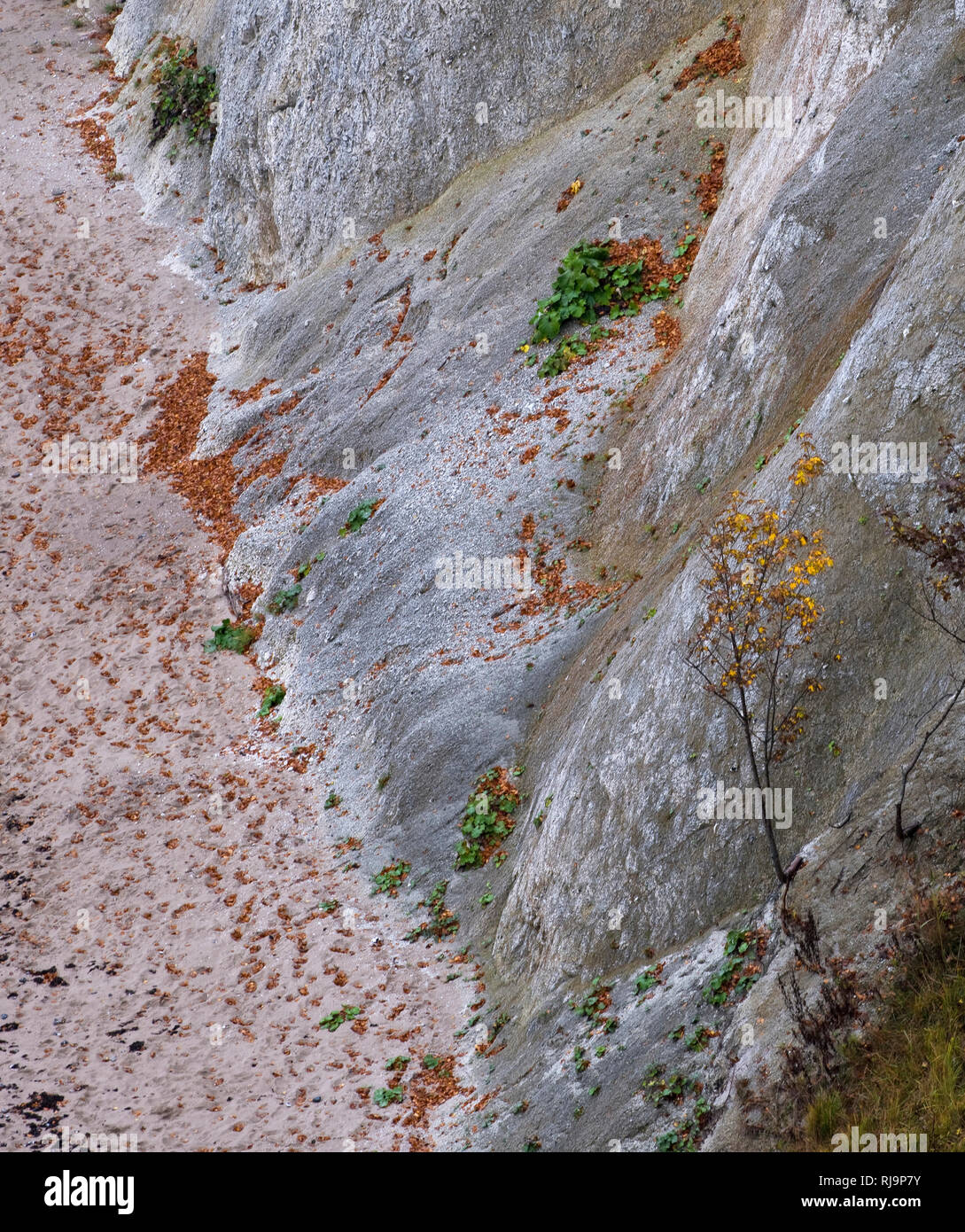 Europa, Deutschland, Mecklenburg-Vorpommern, Insel Rügen, Nationalpark Jasmund, UNESCO-Weltnaturerbe Europäische Buchenwälder, Blick von oben auf Stei Stock Photo