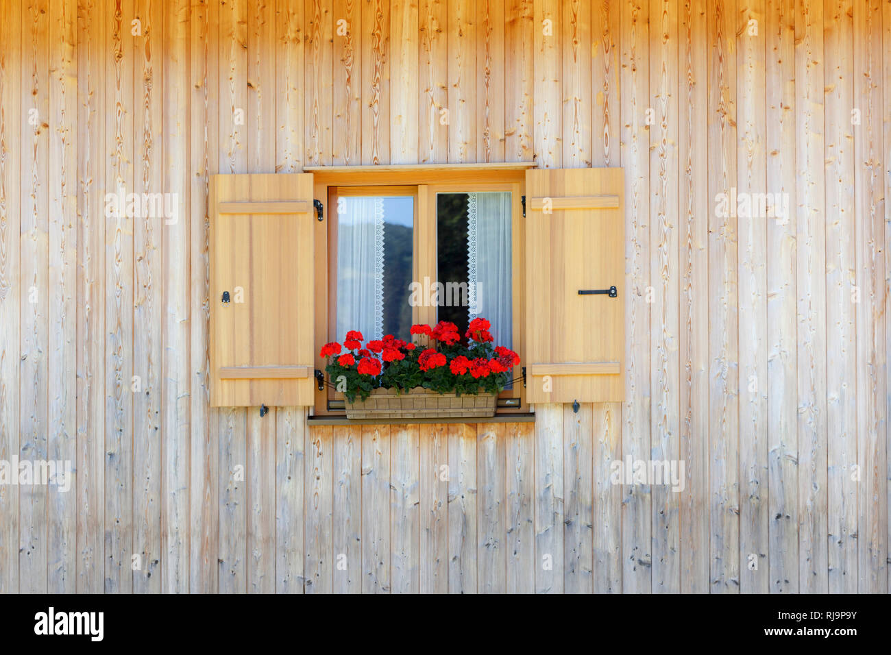 Ein Fenster in einem Holzhaus mit Gardine und Geranien davor, Stock Photo