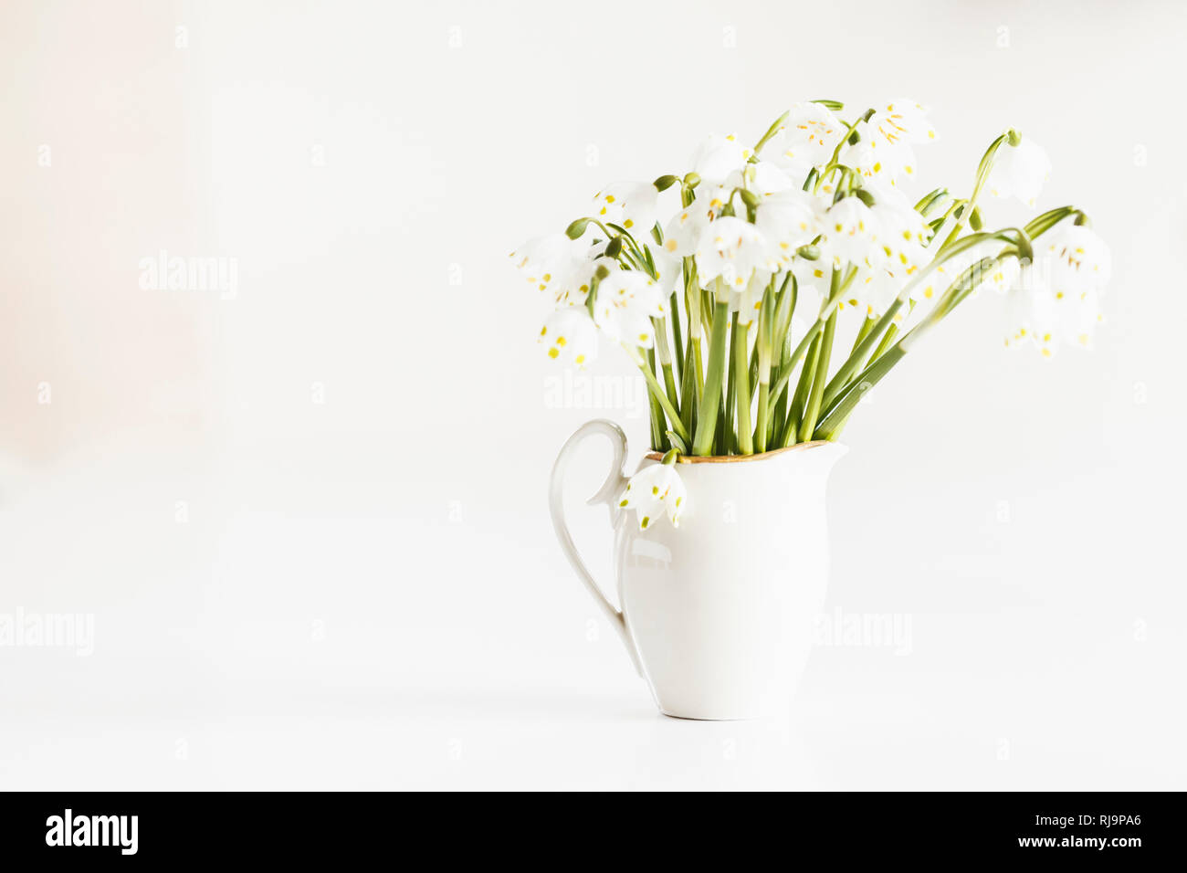 Blumenstrauß mit Frühlingsknotenblumen in einer Tasse, Leucojum vernum, Stock Photo