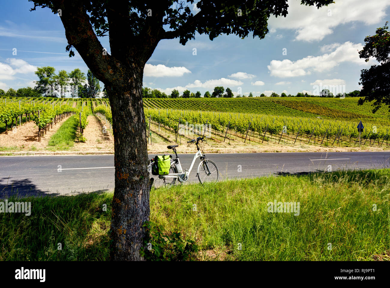 Fahrradtour hi-res stock photography and images - Alamy