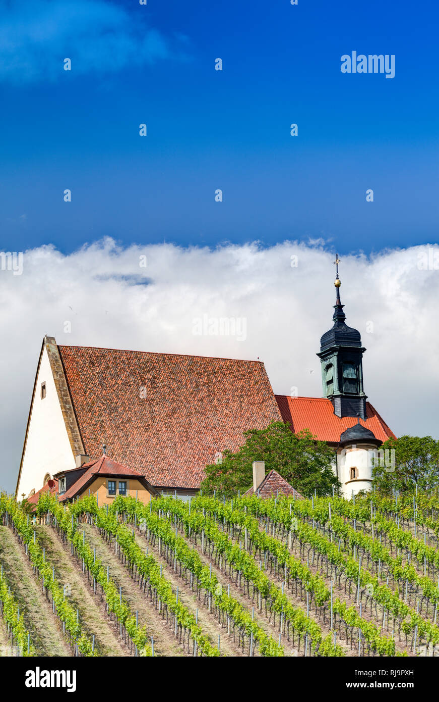 Wallfahrtskirche, Maria im Weingarten, Volkach, an der Mainschleife, Franken, Bayern, Deutschland, Europa, Stock Photo