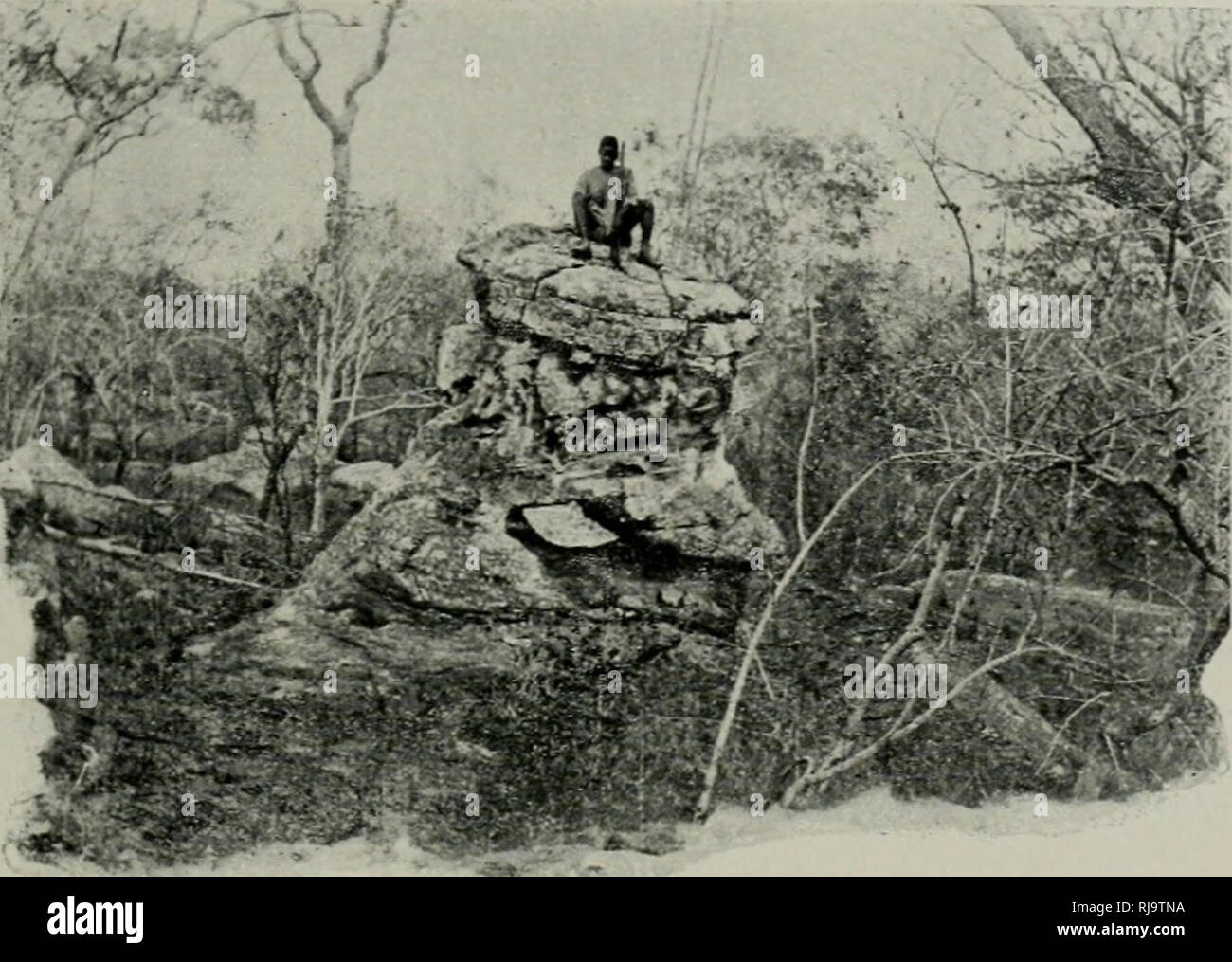 Sa Ni Stock Photos Sa Ni Stock Images Alamy