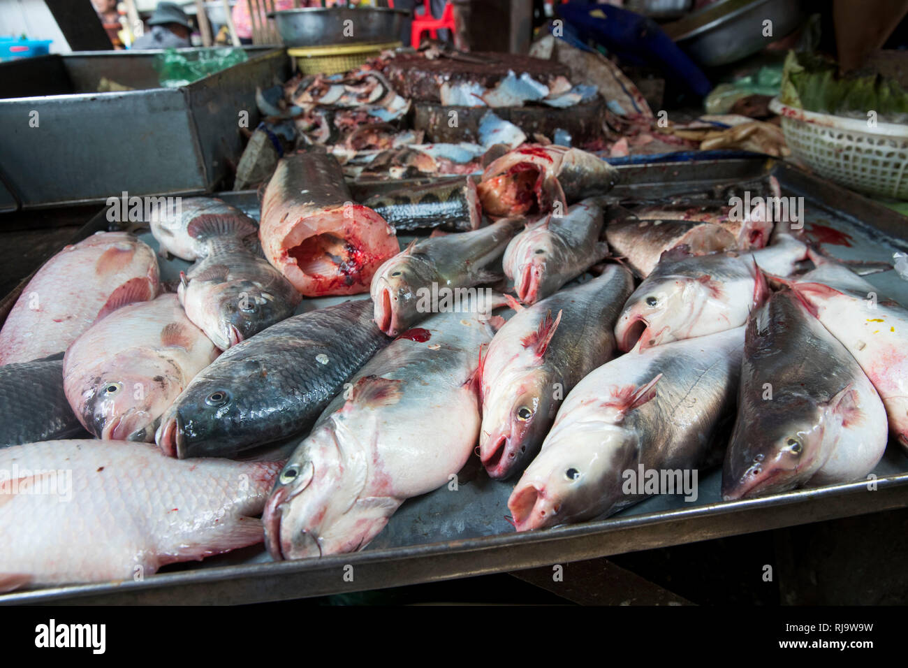 Kambodscha, Phnom Penh, Kandal Market, Schneidetisch eine Fischhändlers, Markt der Armen, hier gibt es alles, Lebensmittel, Werkzeug und Ersatzteile s Stock Photo