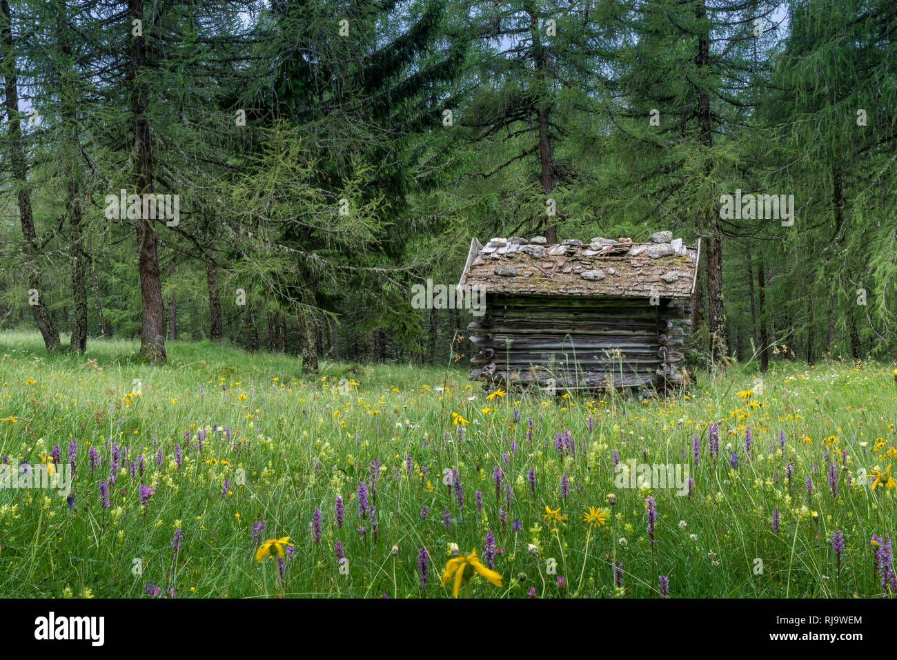 Österreich, Tirol, Stubaier Alpen, Neustift, Heustadl in den Eulenwiesen im Sommer Stock Photo