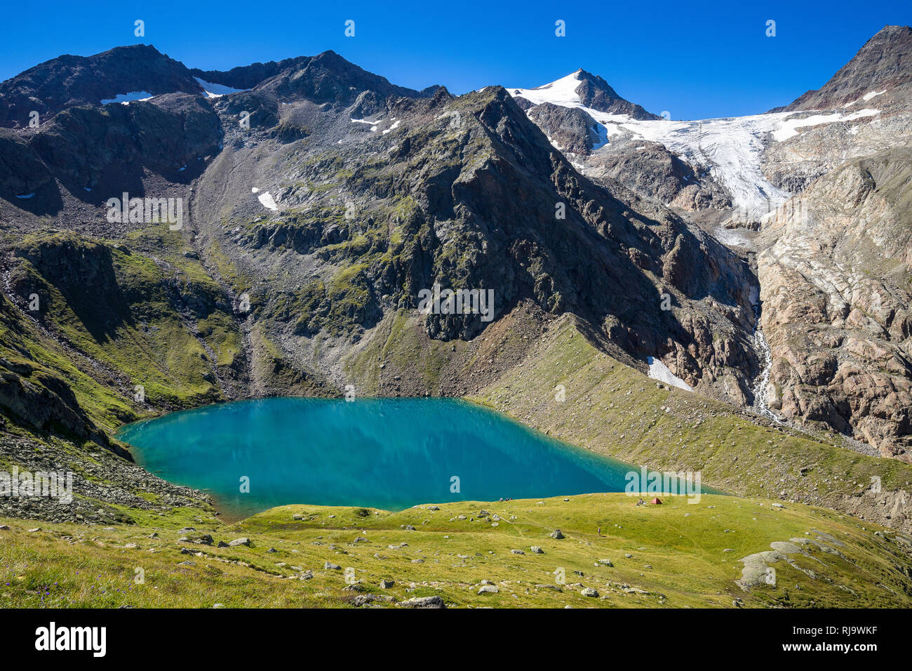 Österreich, Tirol, Stubaier Alpen, Neustift, Grünausee und Wilder Freiger im Sommer Stock Photo