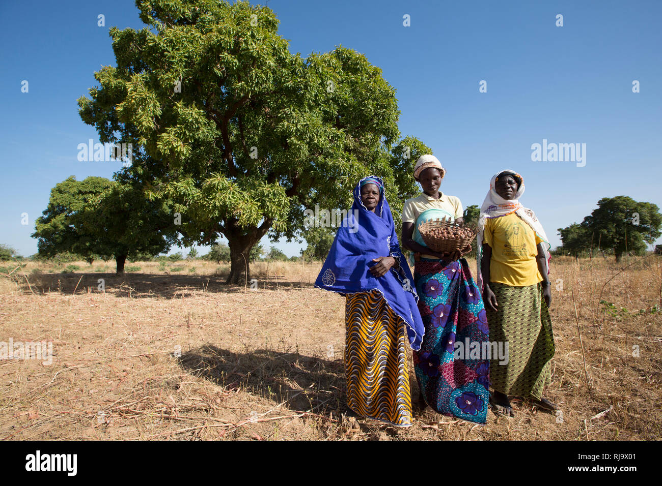 Members of the village hi-res stock photography and images - Alamy