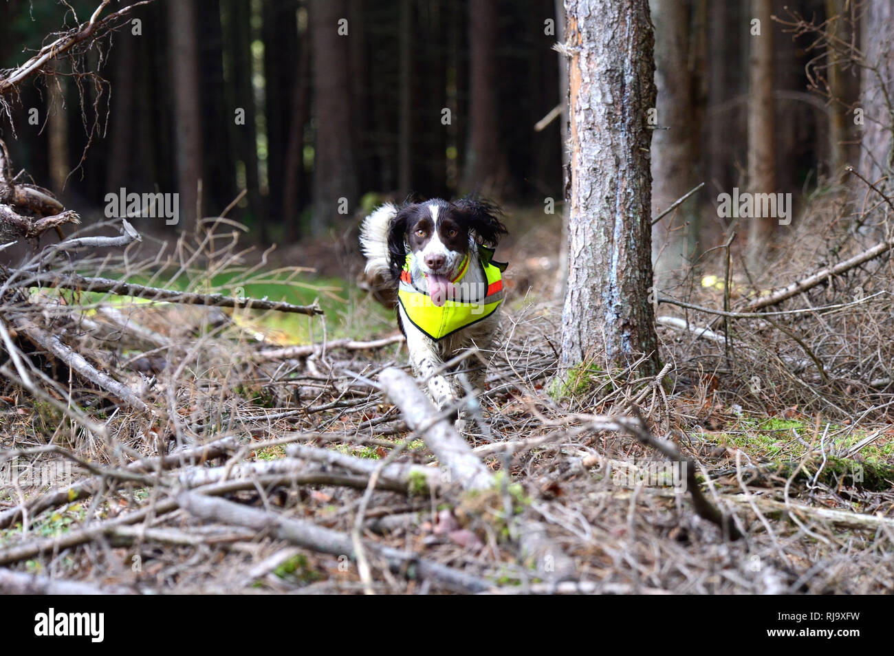 Warnweste hi-res stock photography and images - Alamy