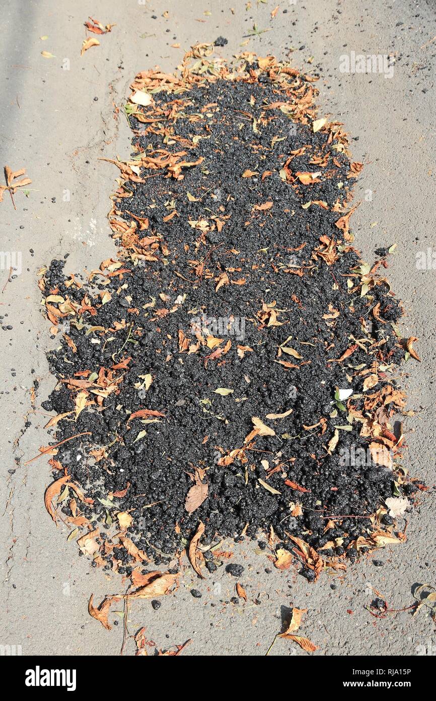 Faulty road repair in Romania - fixed asphalt patch with dirt and leaves. Inept and ineffectual road work. Stock Photo