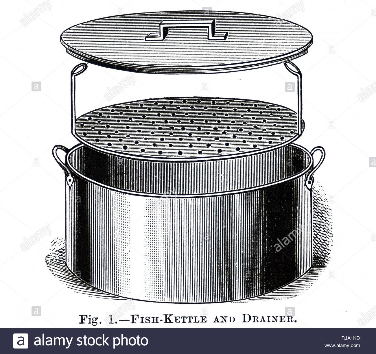 Oval Fish Stock Photos & Oval Fish Stock Images Alamy