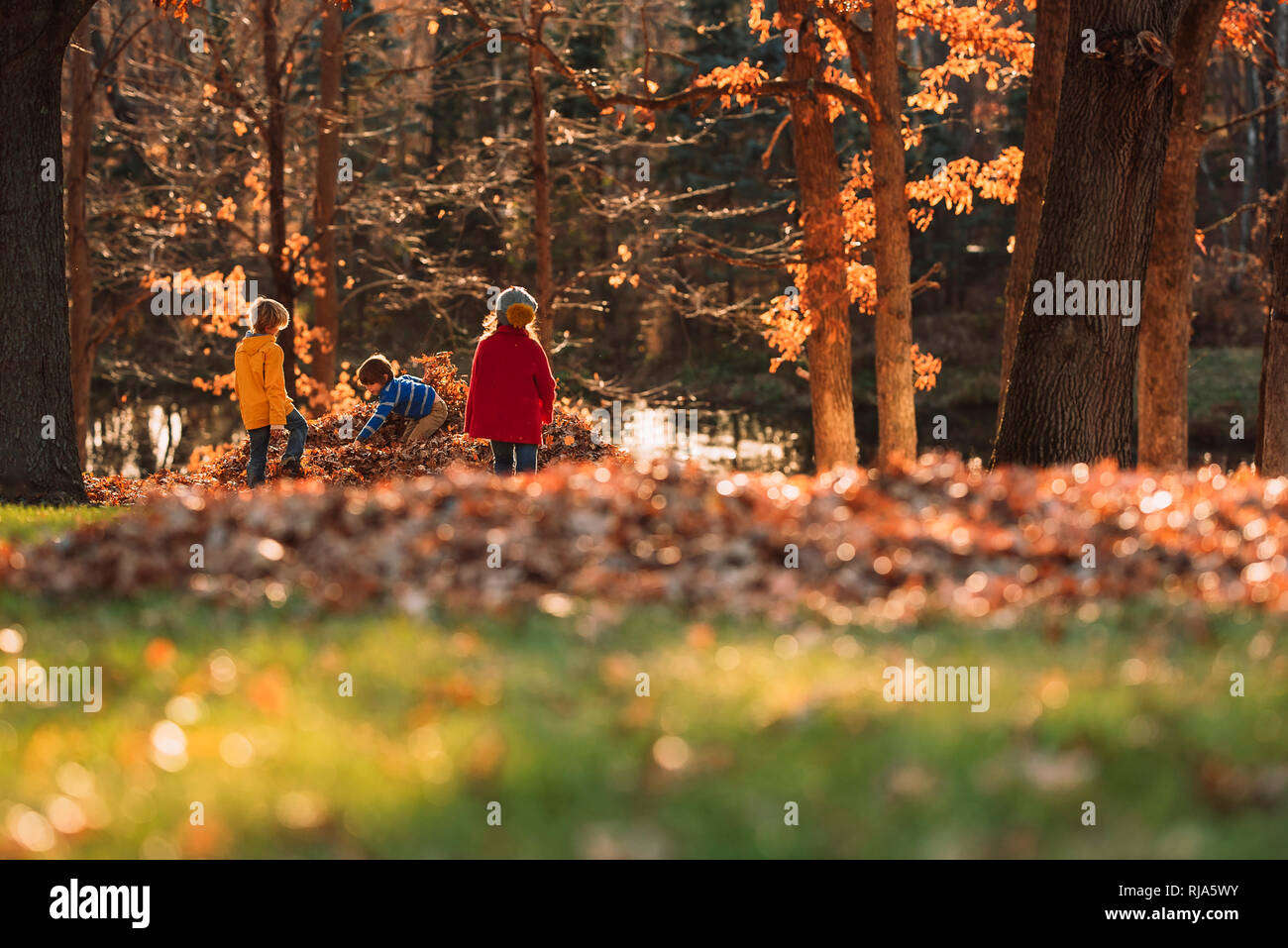 Three children playing in a pile of leaves, United States Stock Photo