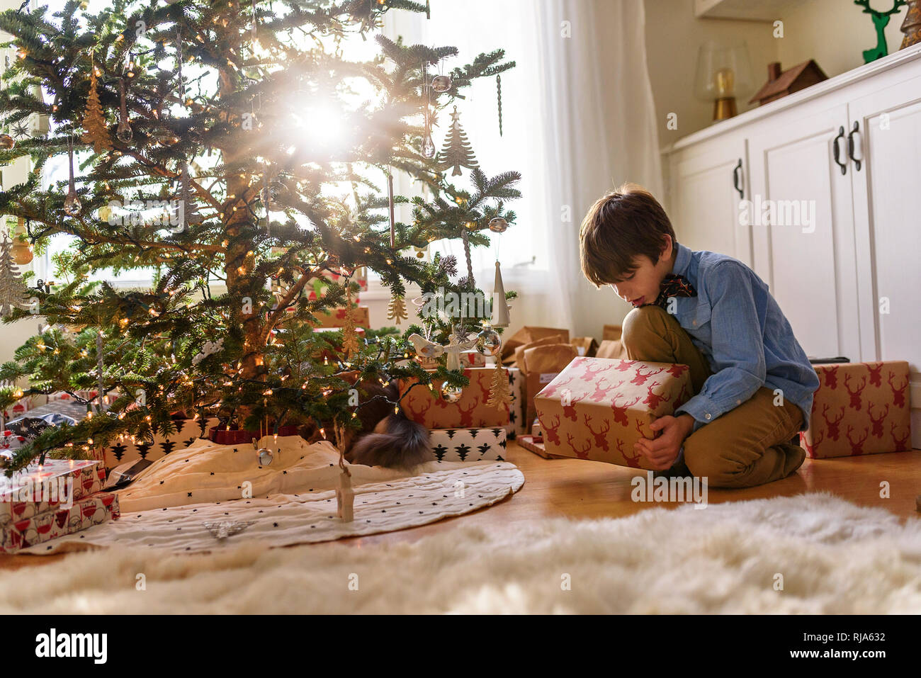 Boy kneeling in front of a Christmas tree looking at gifts Stock Photo