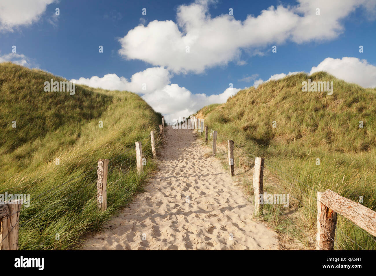 Weg über eine Düne zum Weststrand, Sylt, Nordfriesland, Schleswig Holstein, Deutschland Stock Photo