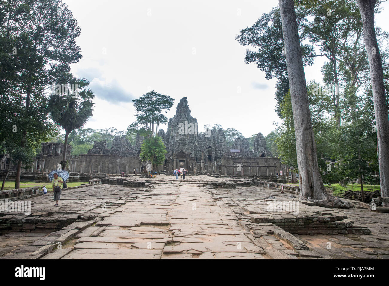 Siem Reap, Angkor, Tempel Bayon, wunderbare Tempelanlage die vom Urwald befreit wurde, man kann noch deutlich die Spuren der Natur sehen Stock Photo