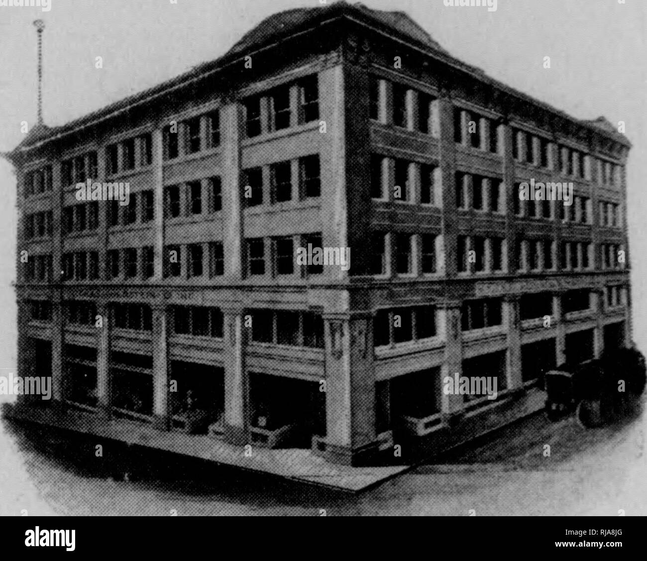 Red fox wildlife alaska Black and White Stock Photos & Images - Alamy