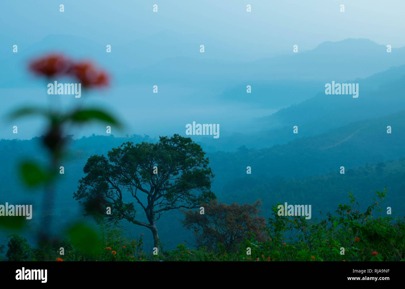 The Araku valley, India Stock Photo - Alamy