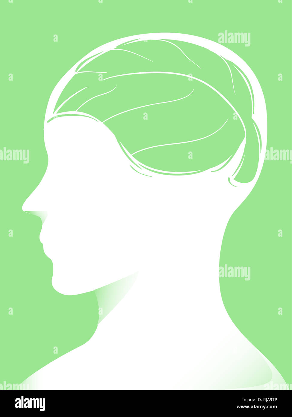Illustration of a Silhouette of a Man with a Green Leaf on His Brain ...