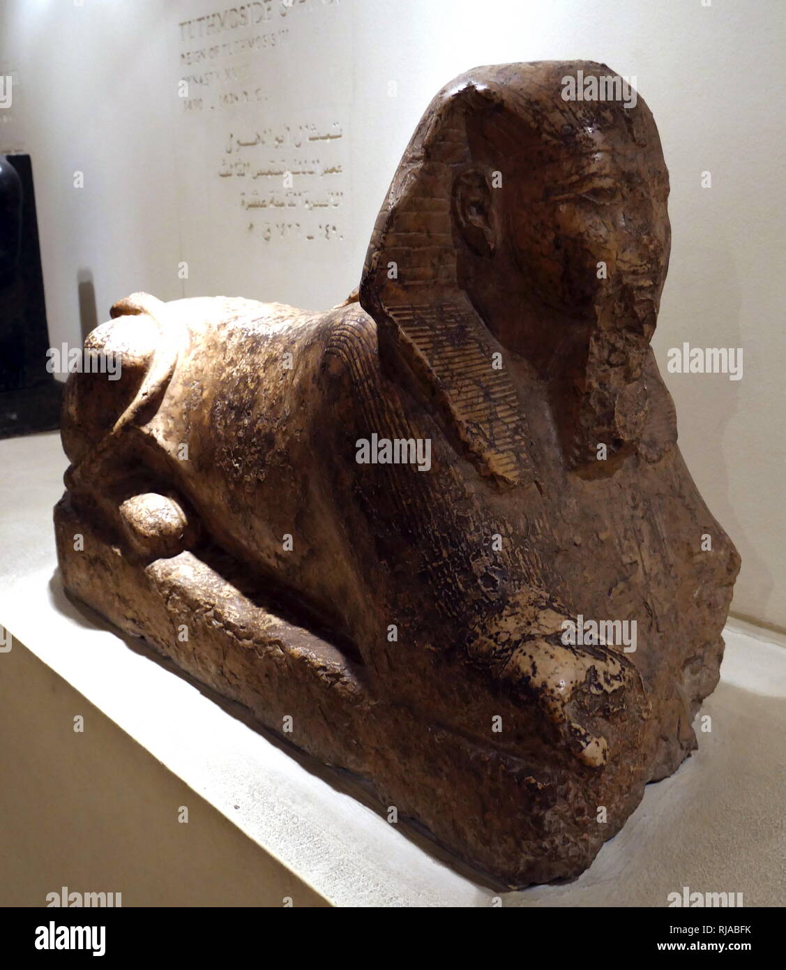 Sphinx statue of King Thutmose III (fl. 1479–1425 BC), was the sixth ...