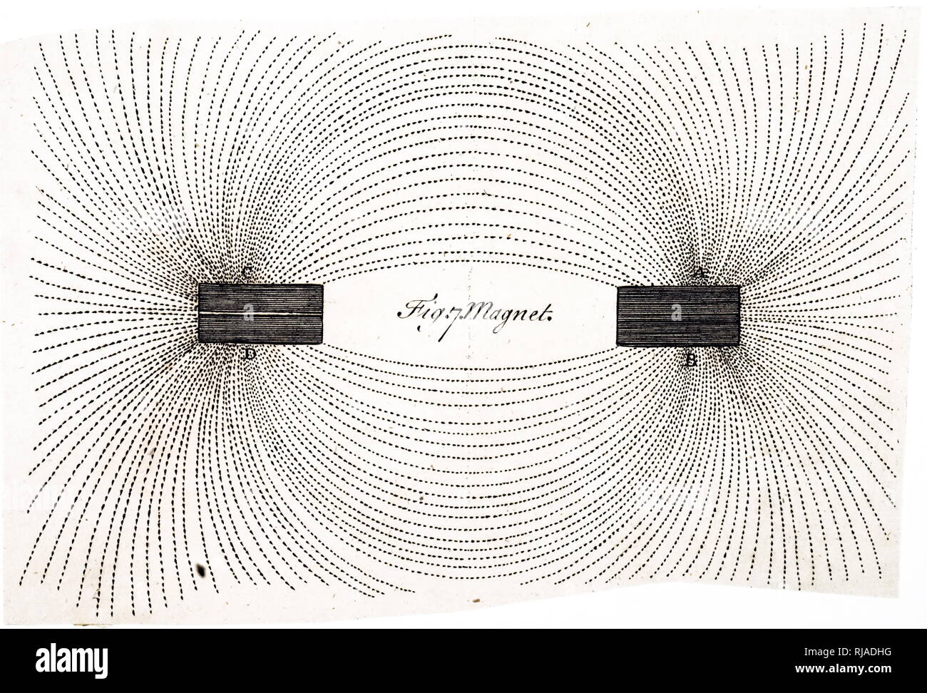 Field Iron Filings Two
