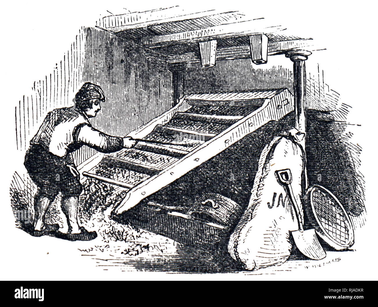 An engraving depicting the process of turning barley into malt: removing rootlets from grain by screening after the kilning stage. Dated 19th century Stock Photo