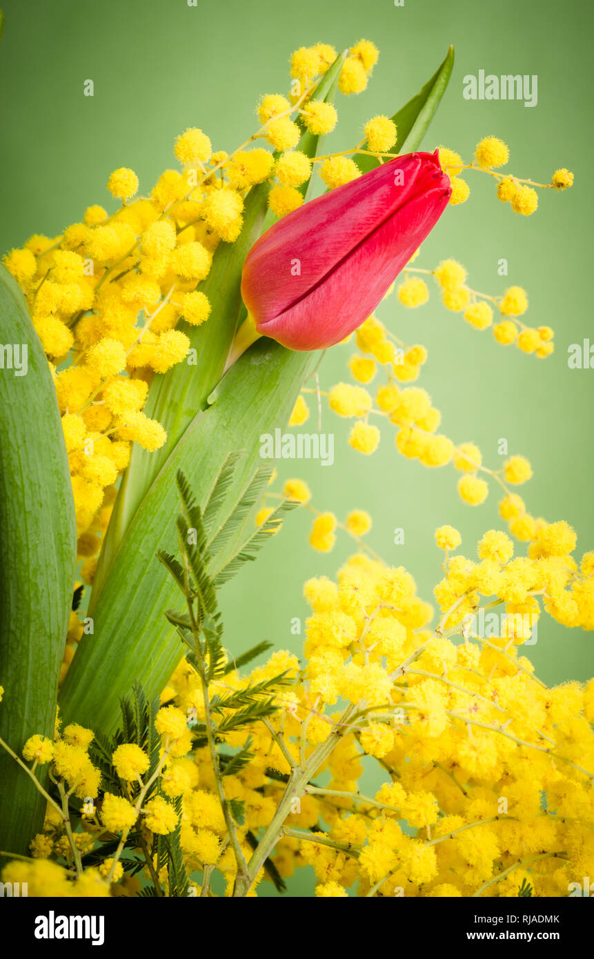 Spring bouquet Stock Photo