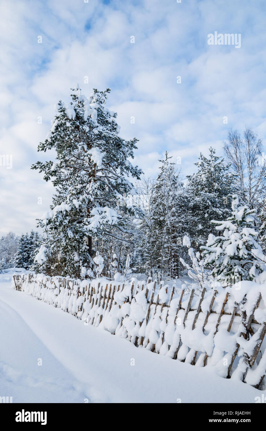 Snow-covered landscape in the countryside. Viitna, Estonia Stock Photo