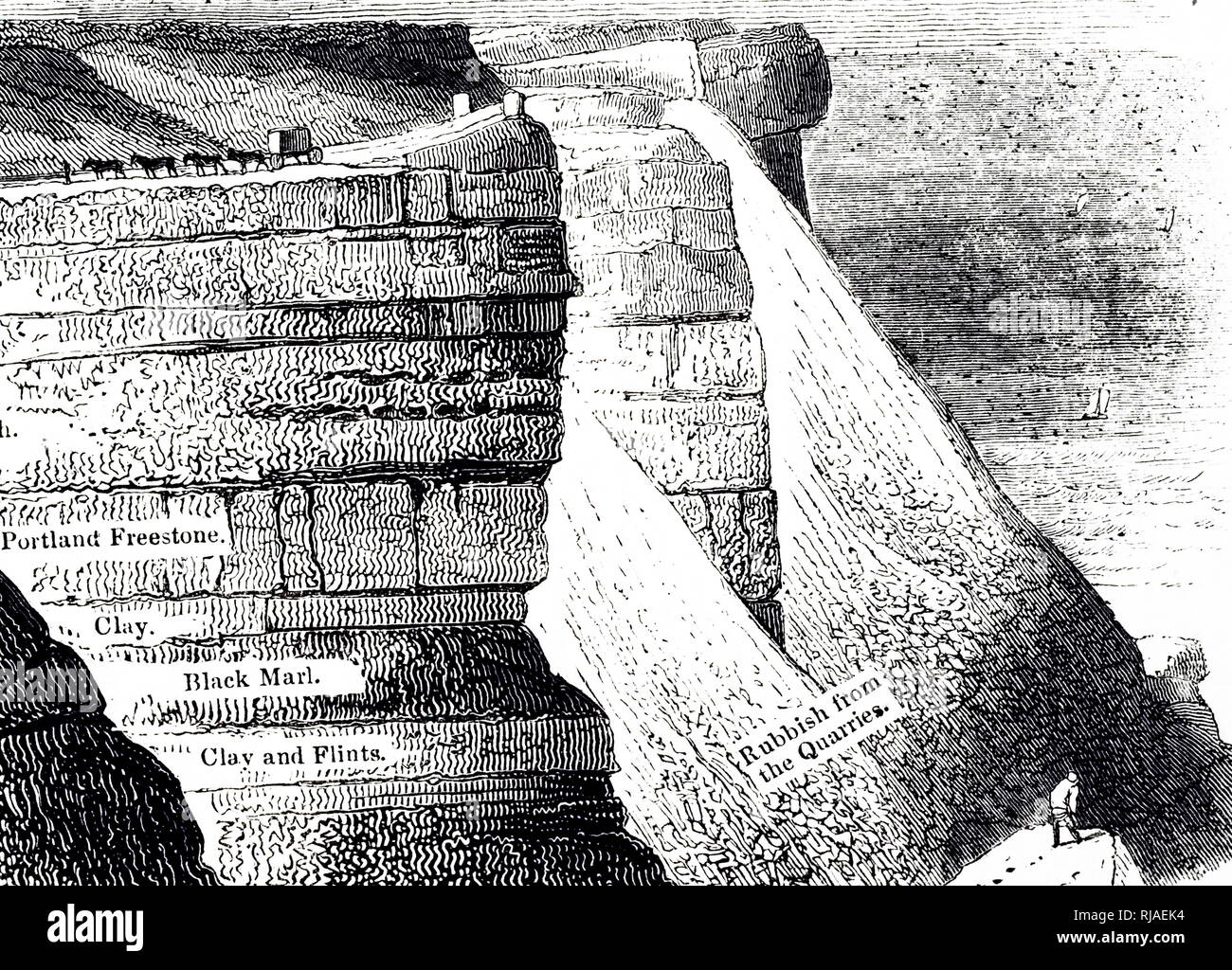 An engraving depicting a sectional view of Portland, showing the