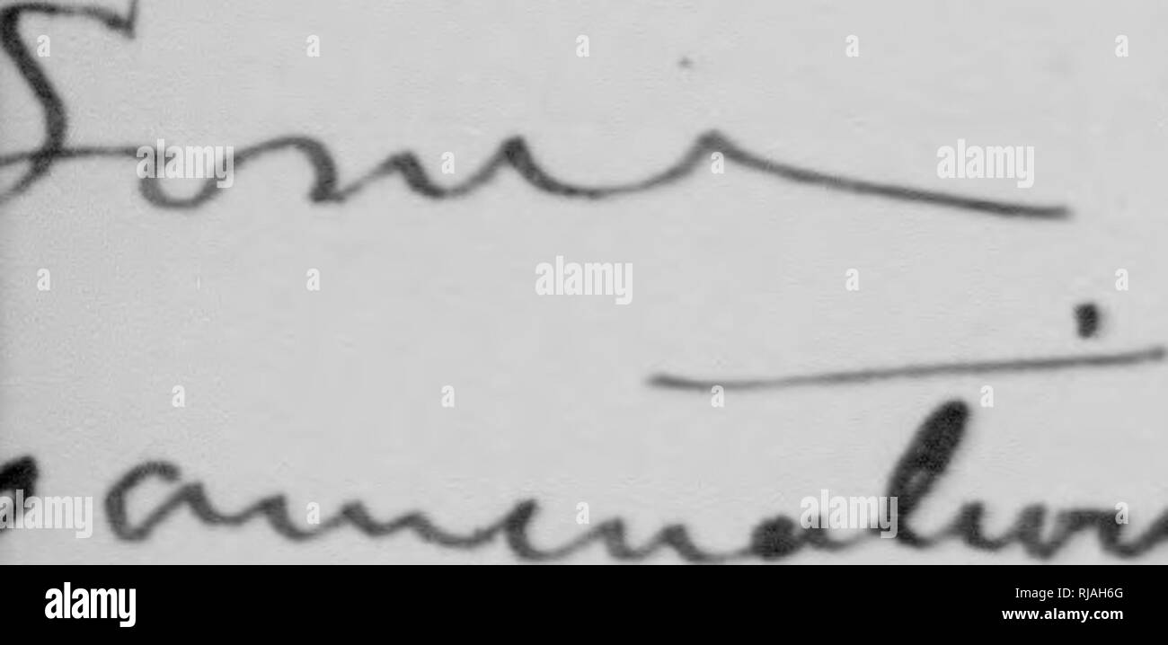 Rv 4 hi-res stock photography and images - Page 18 - Alamy