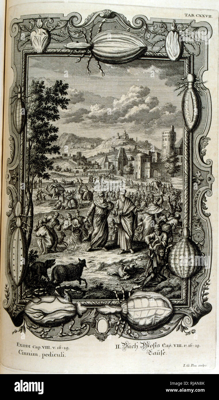 Plague Of Lice And Midges, From Physique Sacree, Ou Histoire-Naturelle De  La Bible, 1732-1737, By Johann Jakob Scheuchzer (1672 - 1733), A Swiss  Scholar Born At Zurich Stock Photo - Alamy