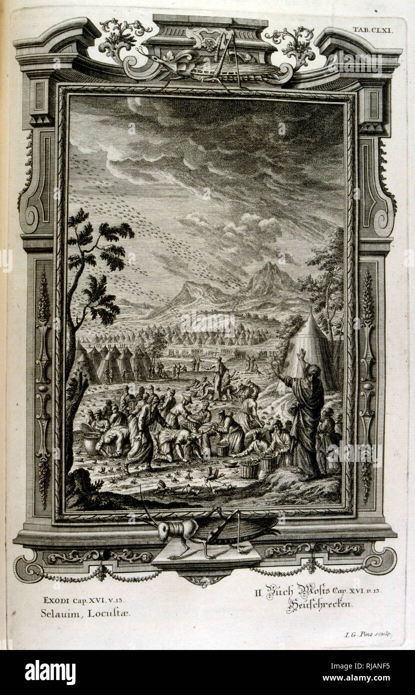Hebrews fighting a plague of locusts. From Physique sacree, ou Histoire-naturelle de la Bible, 1732-1737, by Johann Jakob Scheuchzer (1672 - 1733), a Swiss scholar born at Zurich Stock Photo