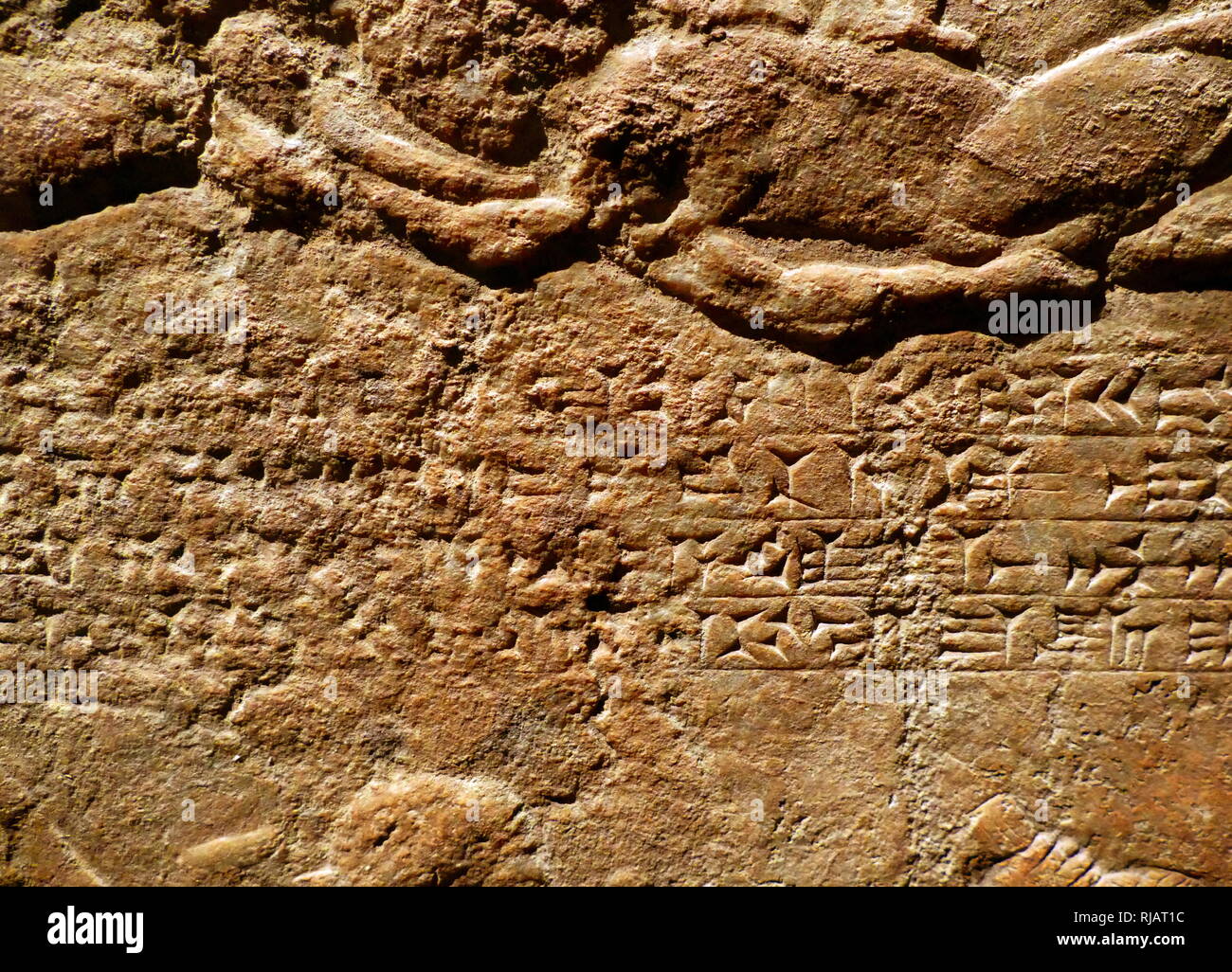 Carved relief circa 645635 BC. NeoAssyrian (Reign of Ashurbanipal