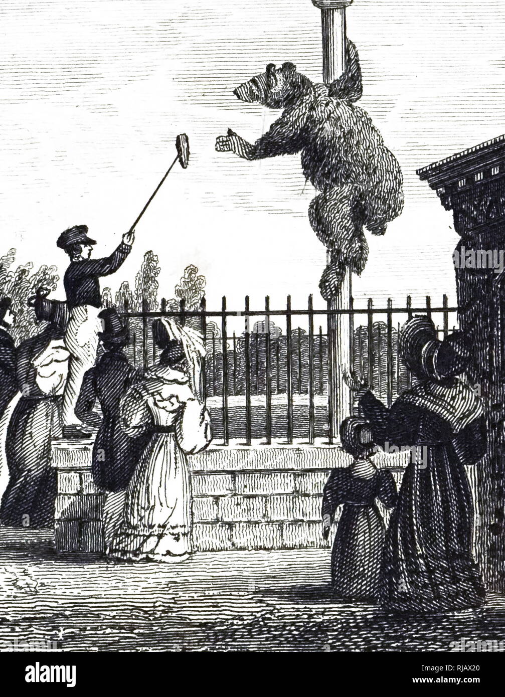 An engraving depicting the Bear Pit in the Royal Zoological Society's Gardens, Regent's Park, London. Dated 19th century Stock Photo